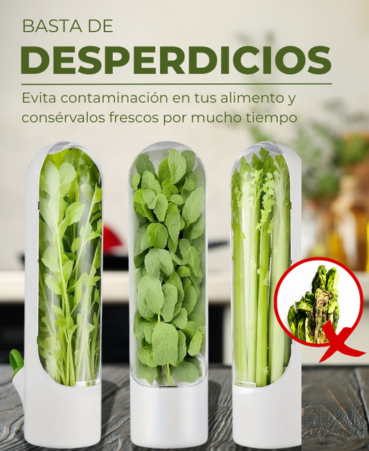 Conservador De Hierbas Y Verduras