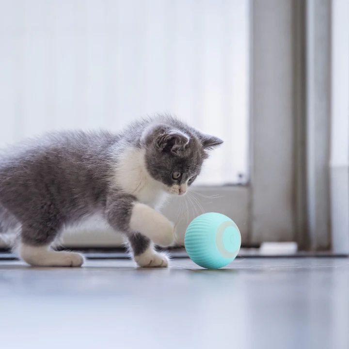 Pelota Inteligente CatZing™