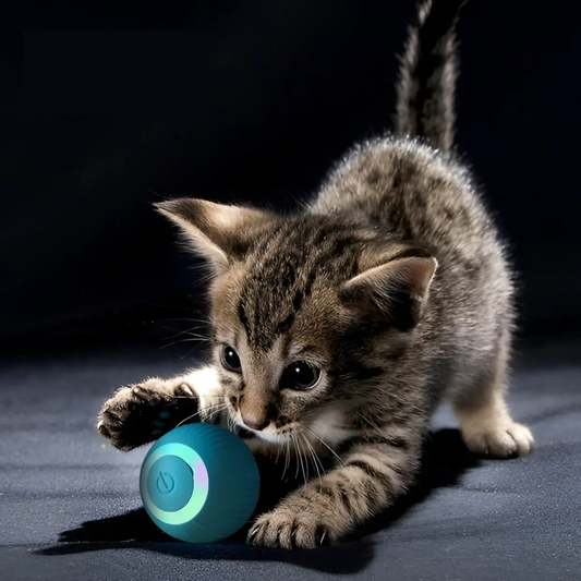 Pelota Inteligente CatZing™