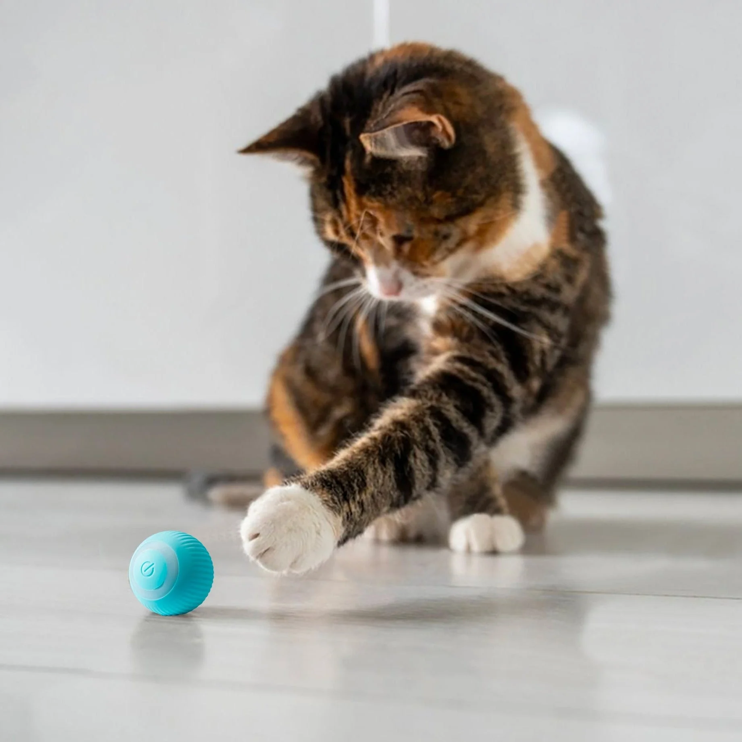 Pelota Inteligente CatZing™