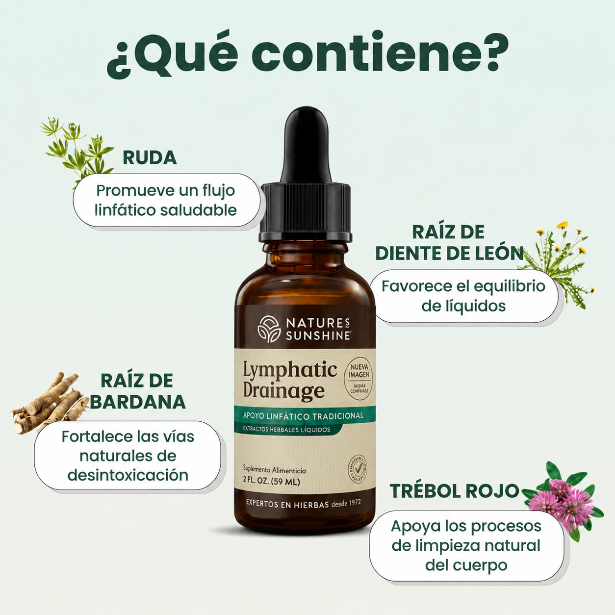 Natures Shunshine® - Gotas de Drenaje Linfático